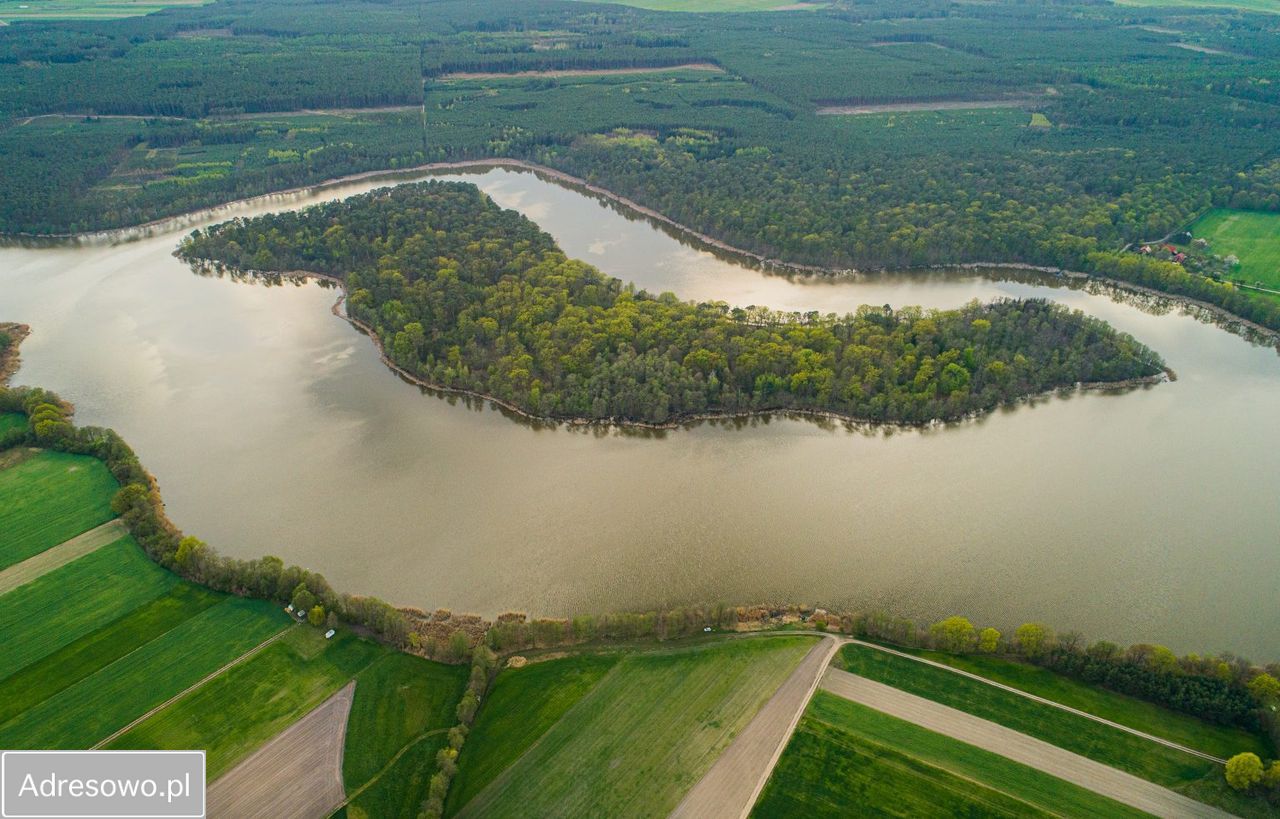 Działka rekreacyjna Perkowo. Zdjęcie 5