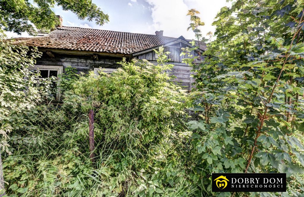 dom wolnostojący, 3 pokoje Sasiny. Zdjęcie 3