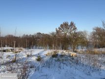 Działka inwestycyjna Kołdrąb. Zdjęcie 4