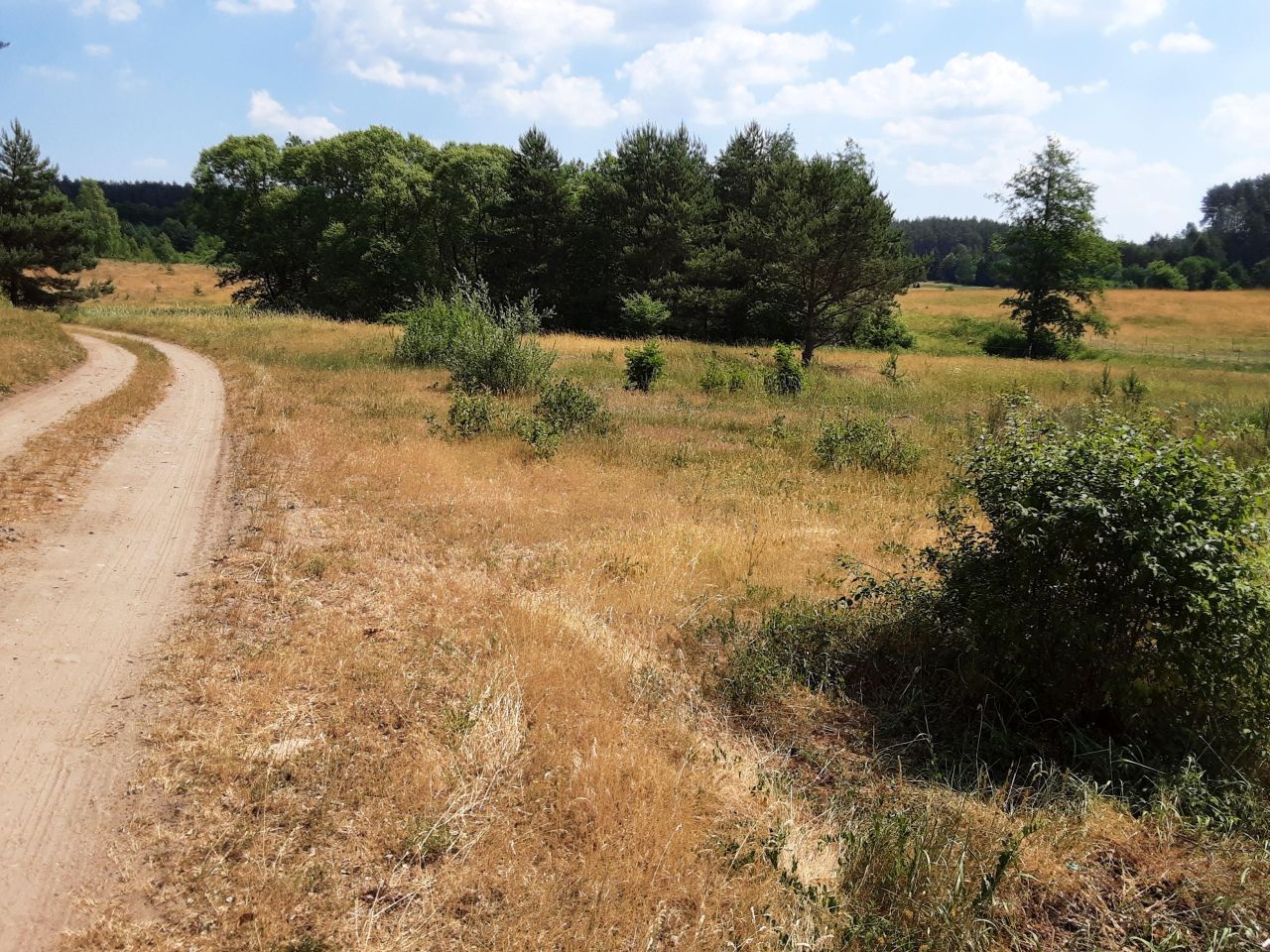 Działka budowlana Komorze. Zdjęcie 6