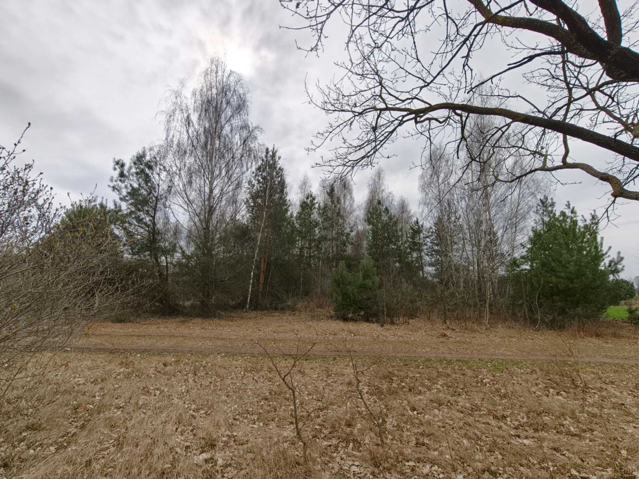 Działka rolno-budowlana Józefów. Zdjęcie 1