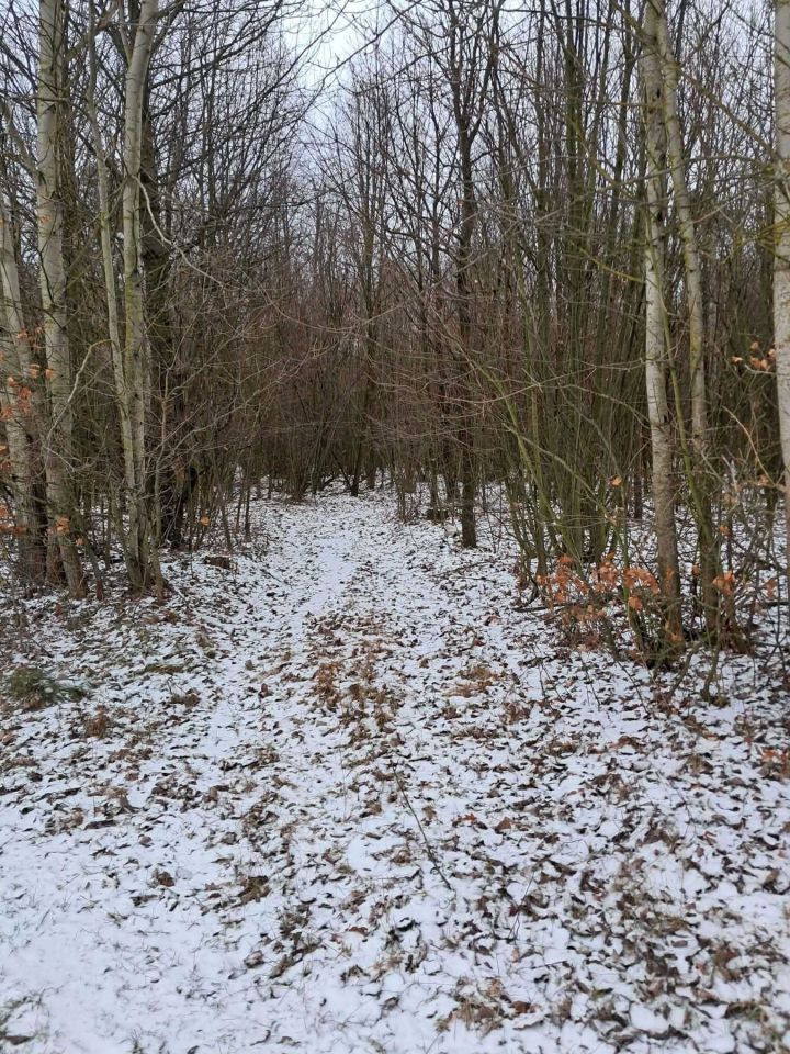 Działka Bukówno Śliwiny. Zdjęcie 7