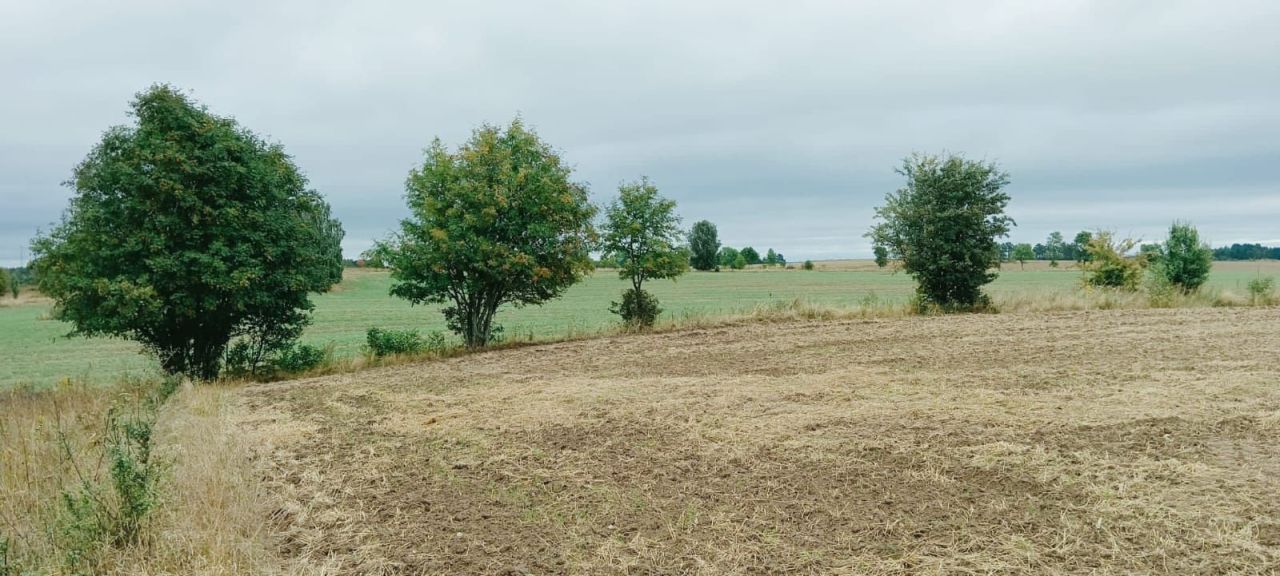 Działka rolno-budowlana Romany. Zdjęcie 6