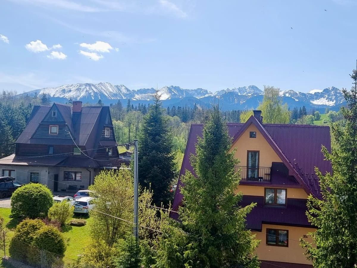 dom wolnostojący, 9 pokoi Zakopane, ul. Bachledzki Wierch. Zdjęcie 12