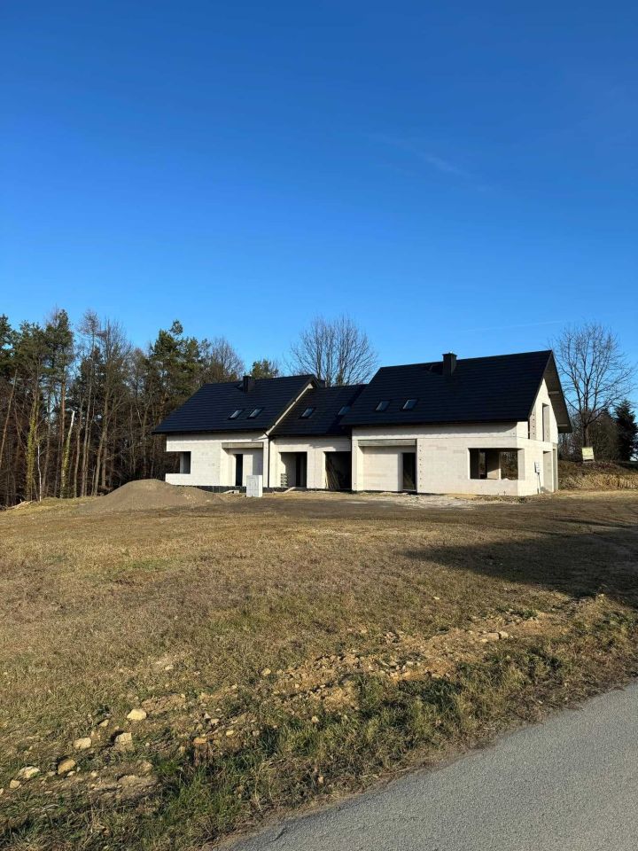 bliźniak Droginia. Zdjęcie 2