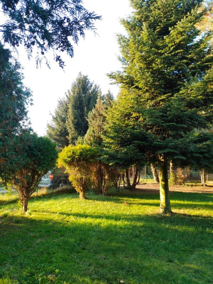 Działka rod Kotliny. Zdjęcie 6