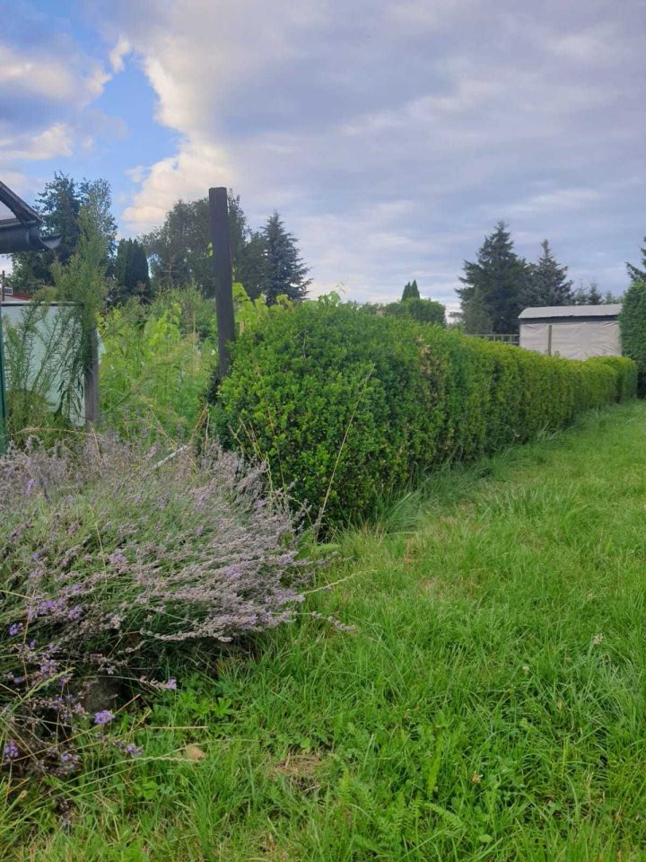 Działka rod Piła. Zdjęcie 4