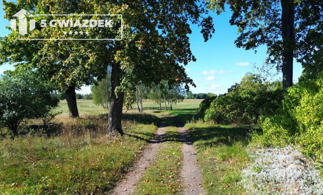 dom wolnostojący, 5 pokoi Szczecinek. Zdjęcie 15