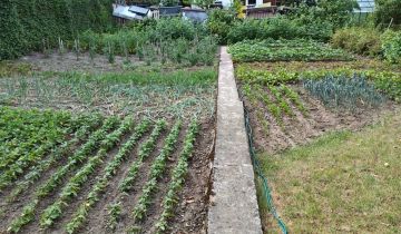 Działka rod Szczecin Gumieńce