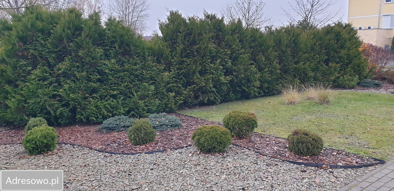 Mieszkanie 3-pokojowe Osielsko, ul. Tymiankowa. Zdjęcie 12