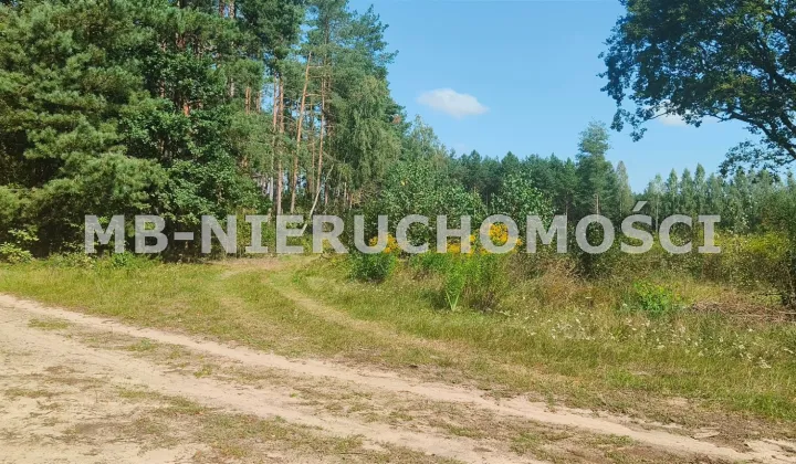 Działka siedliskowa Barczewko