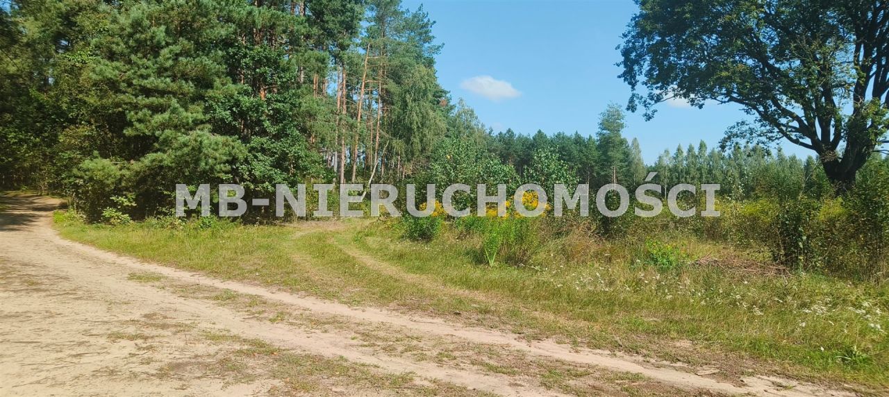 Działka siedliskowa Barczewko. Zdjęcie 1