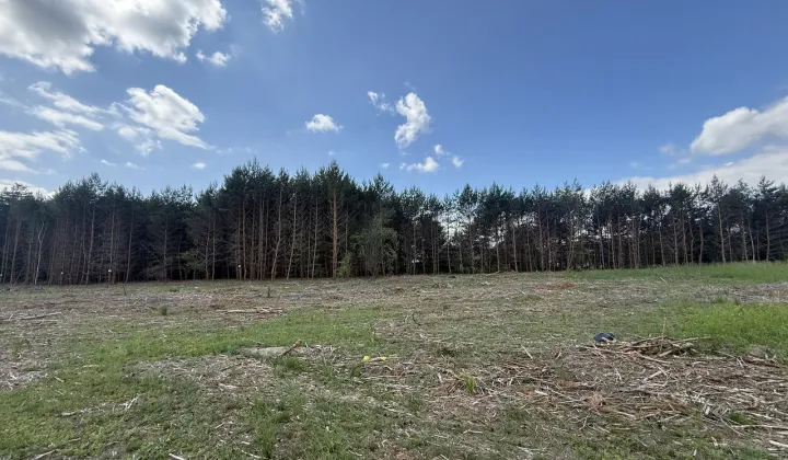 Działka budowlana Łochowo, ul. Sosnowa