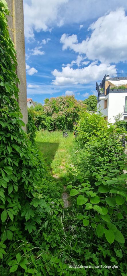 Działka budowlana Gdynia Orłowo, ul. Akacjowa. Zdjęcie 9