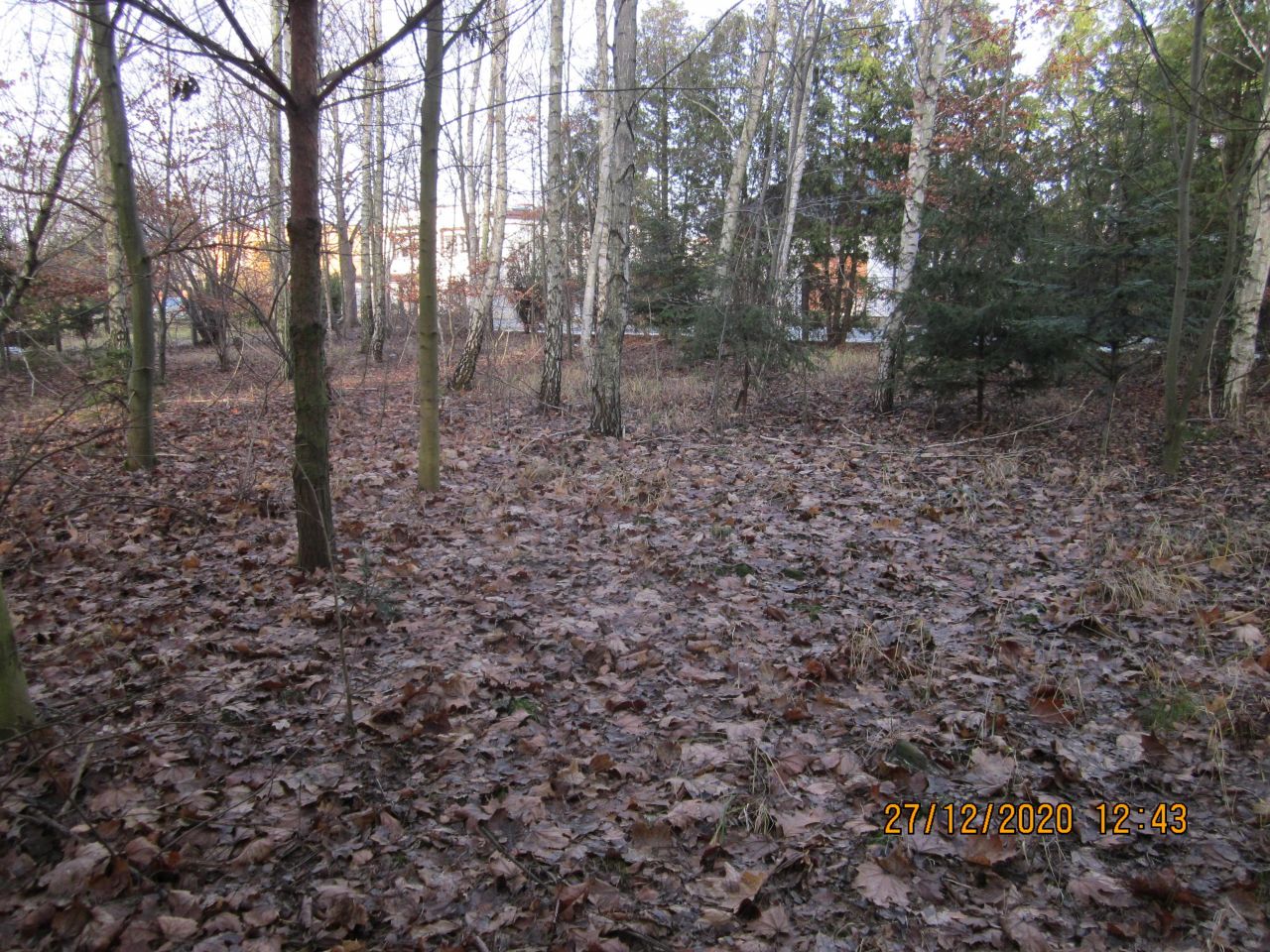 Działka rolno-budowlana Zduńska Wola, ul. Romualda Traugutta. Zdjęcie 2