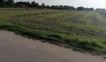 Działka budowlana Lutomiersk, ul. Poziomkowa