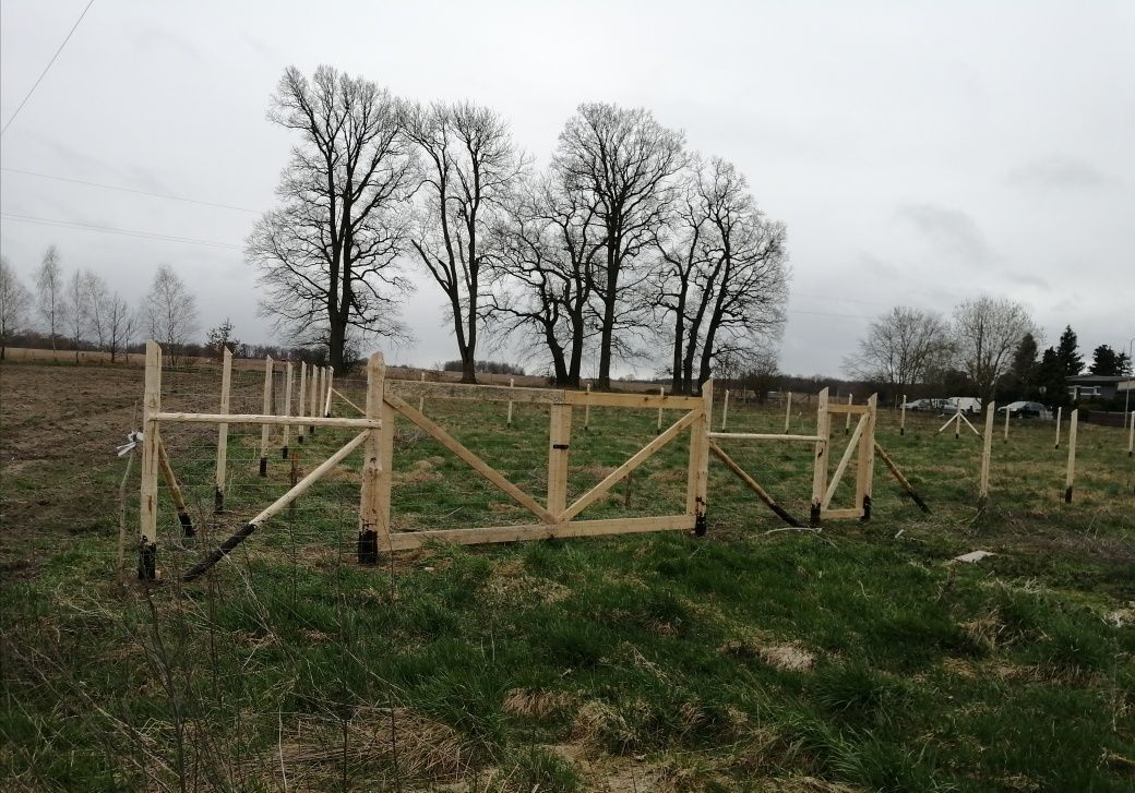 Działka budowlana Reblino. Zdjęcie 3