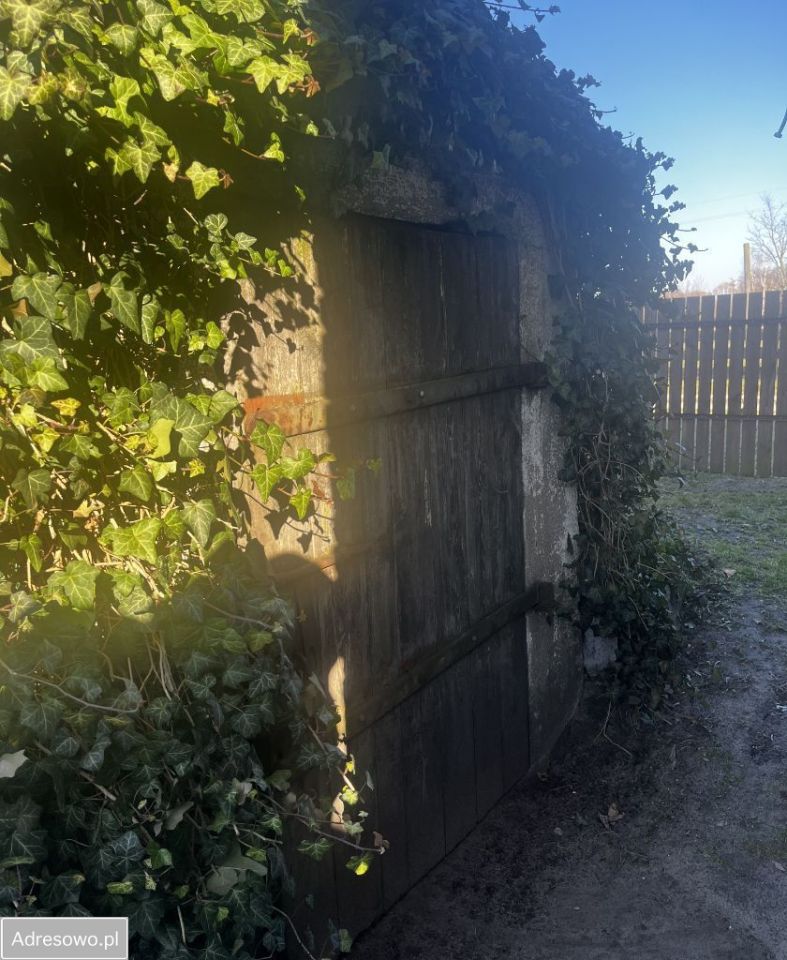 gospodarstwo, 4 pokoje Olszowiec. Zdjęcie 13