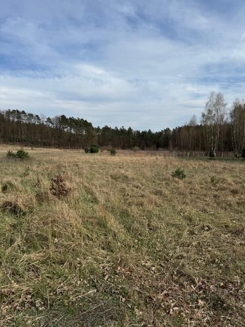 Działka rolno-budowlana Gola Wielka. Zdjęcie 3