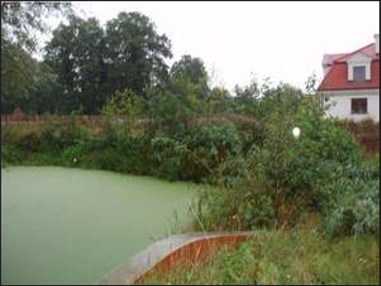 dworek, 6 pokoi Teofile. Zdjęcie 7