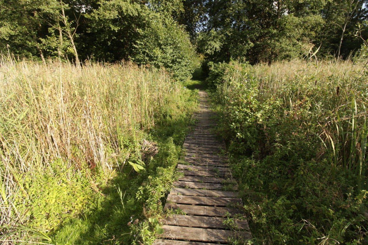 Działka rekreacyjna Potrzanowo, ul. Stare Potrzanowo. Zdjęcie 12