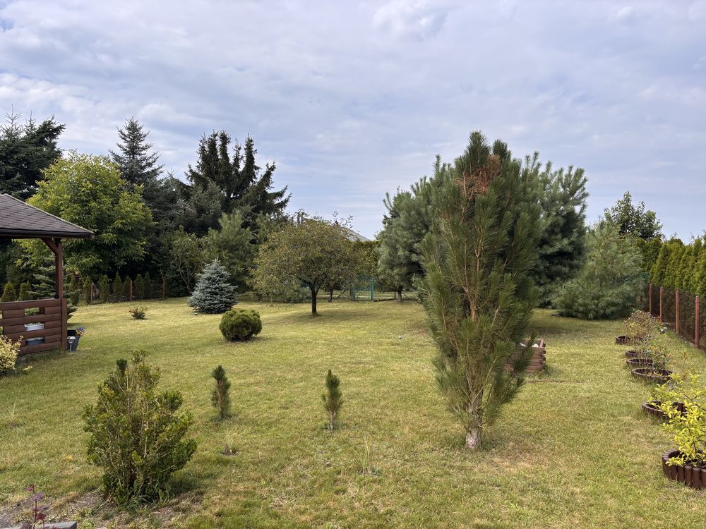 Działka rod Uniejów. Zdjęcie 2
