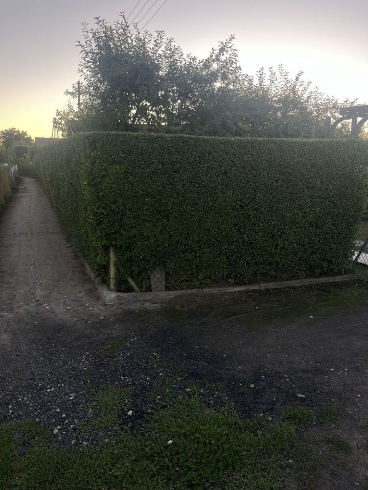 Zdjęcie 8