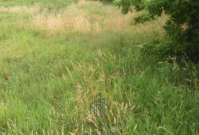 Działka Ostrówek. Zdjęcie 4