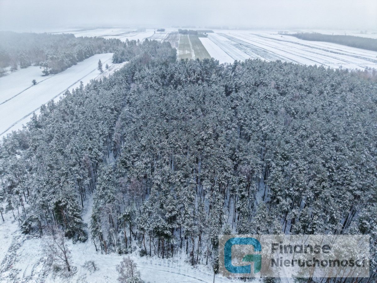 Działka budowlana Kochanów. Zdjęcie 5