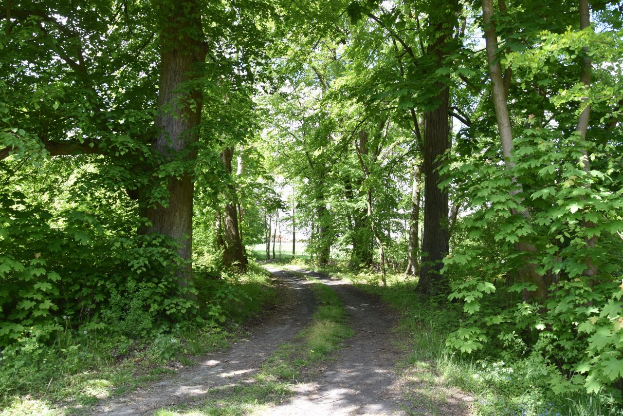 dom wolnostojący, 7 pokoi Tomaszów Mazowiecki Nagórzyce, ul. Starowiejska. Zdjęcie 14