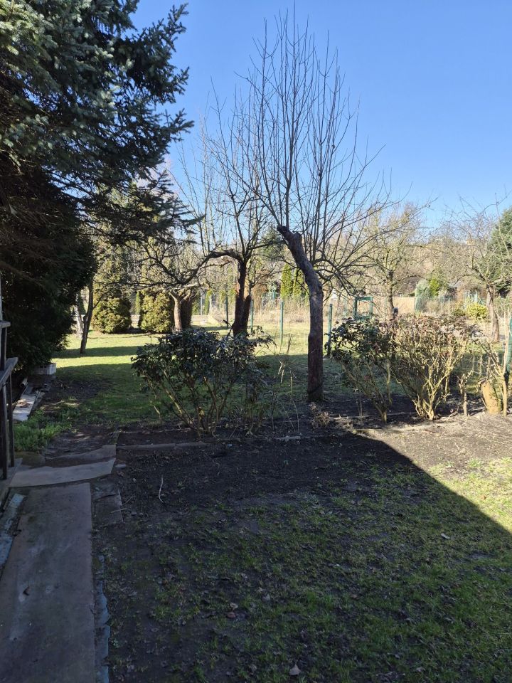 Działka rod Gliwice, ul. Sikornik. Zdjęcie 7