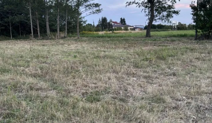 Działka budowlana Radonice