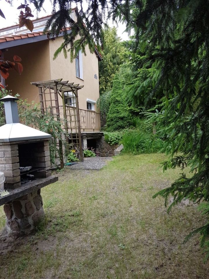 Działka rod Wójcin. Zdjęcie 6