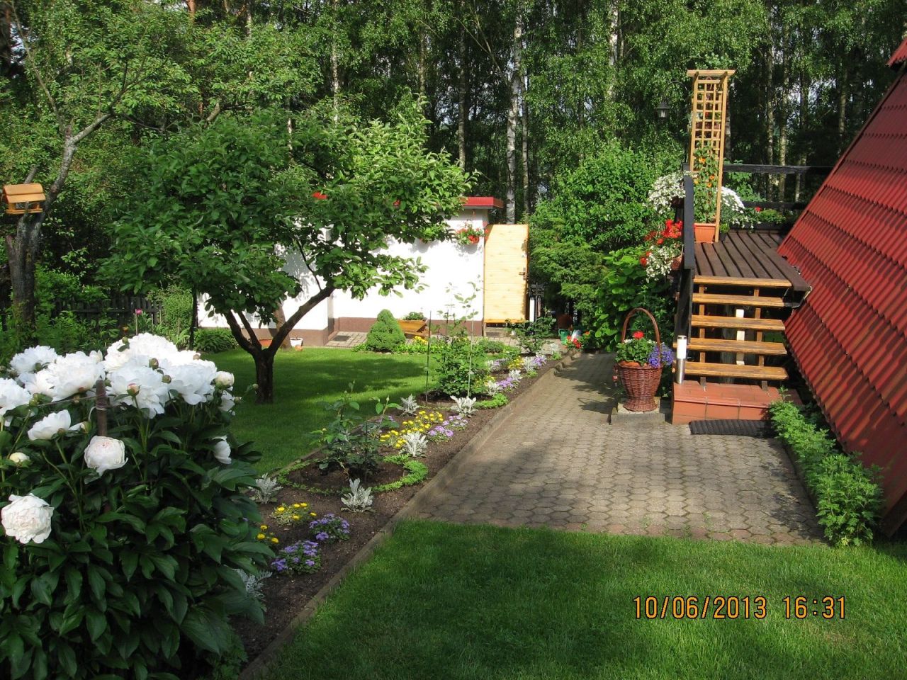 Działka rekreacyjna Sapunki. Zdjęcie 4