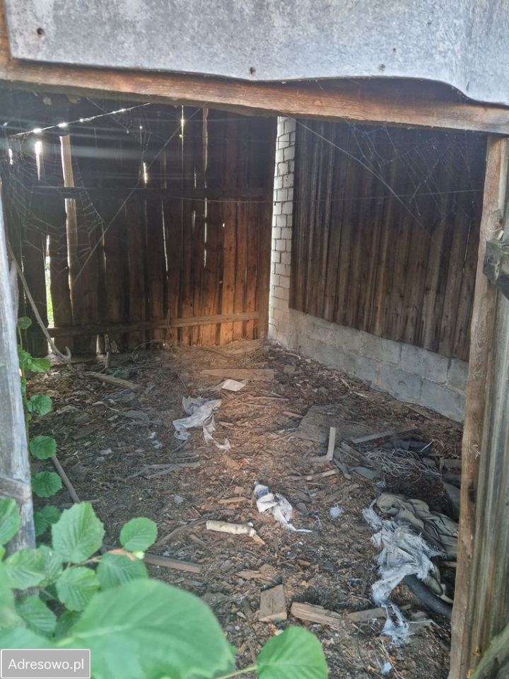 Działka siedliskowa Nowinki. Zdjęcie 5