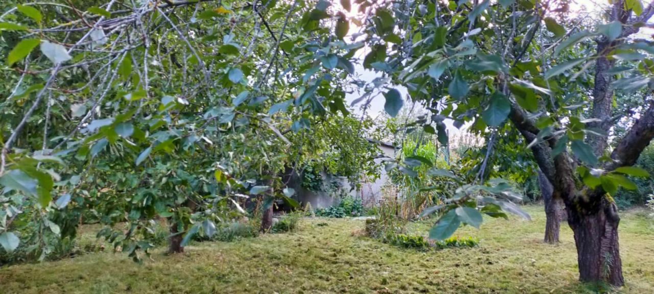 Działka rod Gostynin Bratoszewo. Zdjęcie 3