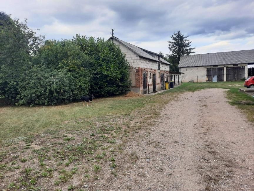dom wolnostojący, 9 pokoi Glinki-Rafały. Zdjęcie 4