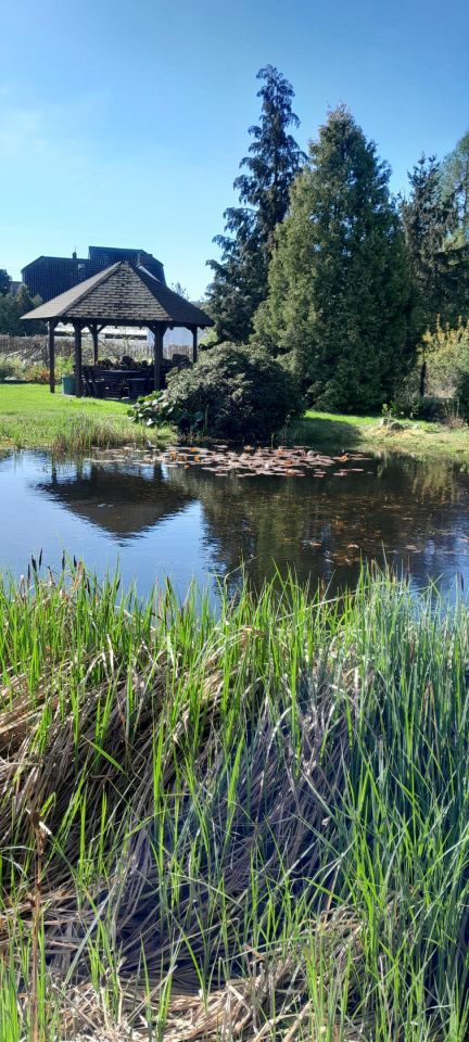 dom wolnostojący, 5 pokoi Piła Motylewo, ul. Sowia. Zdjęcie 21