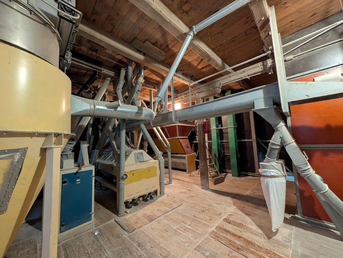 Działka inwestycyjna Kruszynek. Zdjęcie 12