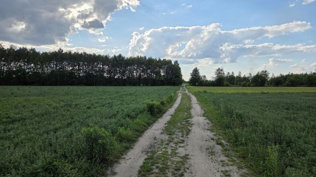 Działka rolna Łódź Widzew, ul. Nad Niemnem. Zdjęcie 4