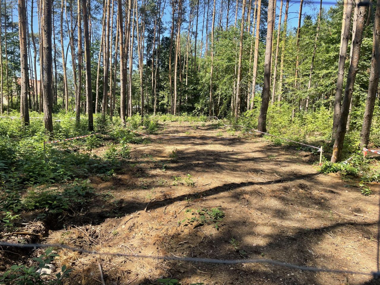 Działka leśna Ojrzanów, Cudna. Zdjęcie 1