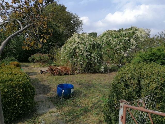 Działka rekreacyjna Gdańsk Zaspa, al. gen. Józefa Hallera. Zdjęcie 1