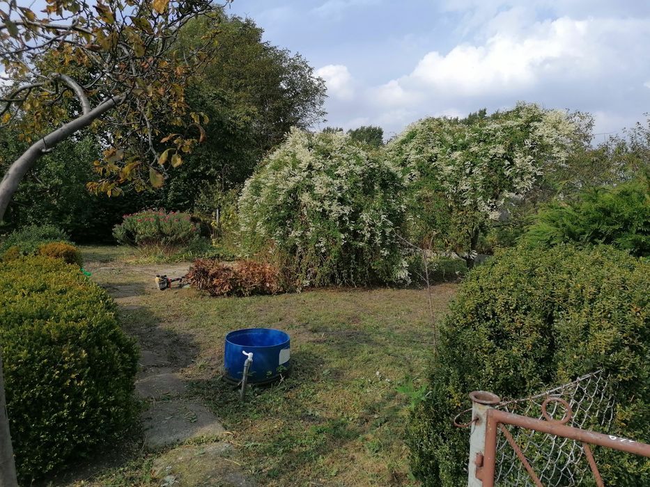 Działka rekreacyjna Gdańsk Zaspa, al. gen. Józefa Hallera. Zdjęcie 1