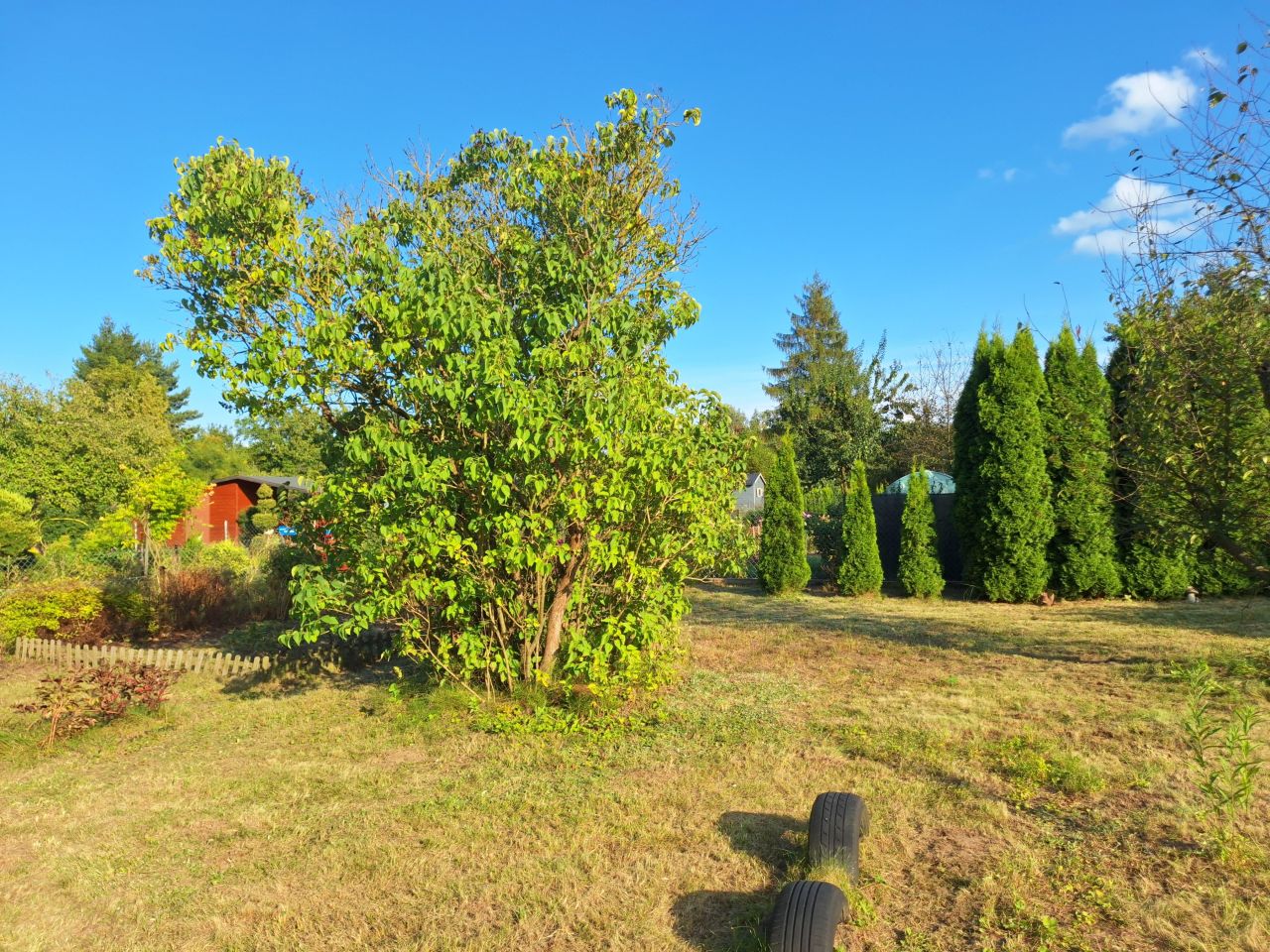 Działka rod Płock Radziwie, ul. Dobrzykowska. Zdjęcie 19