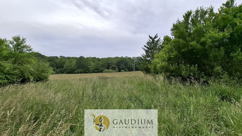 Działka budowlana Buszkowy Górne, ul. Leśna Góra. Zdjęcie 4