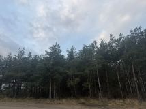 Działka budowlana Nowa Wieś. Zdjęcie 1