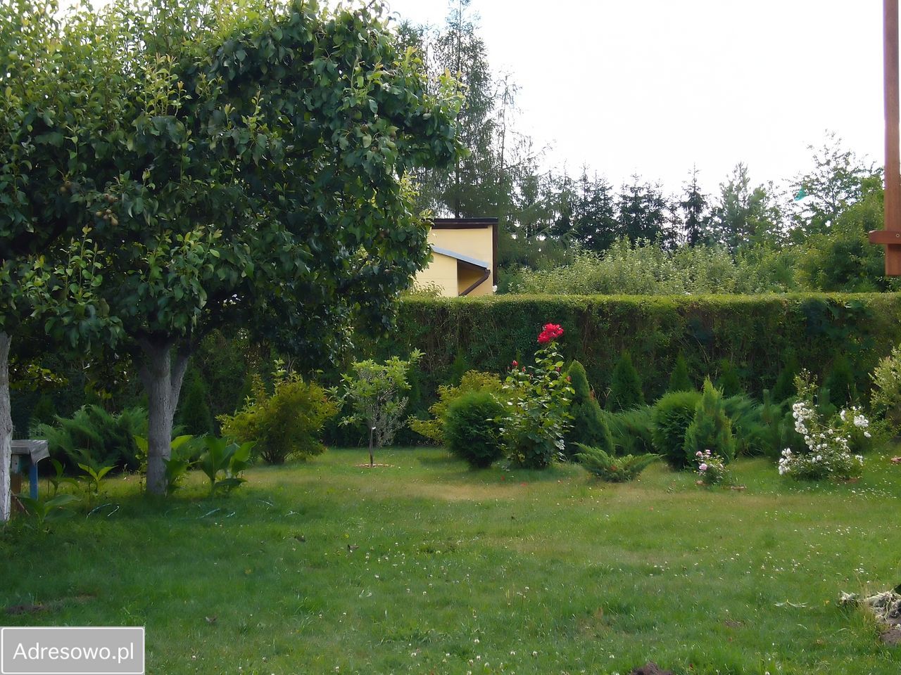 Działka rod Okołowice. Zdjęcie 15