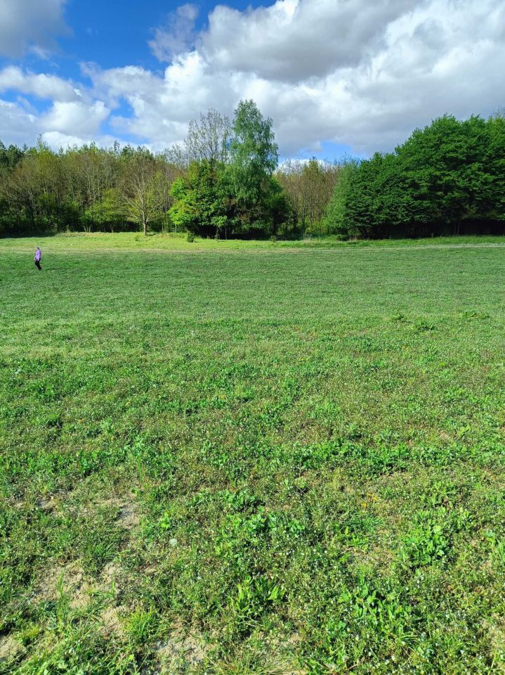 Działka budowlana Trękusek. Zdjęcie 3