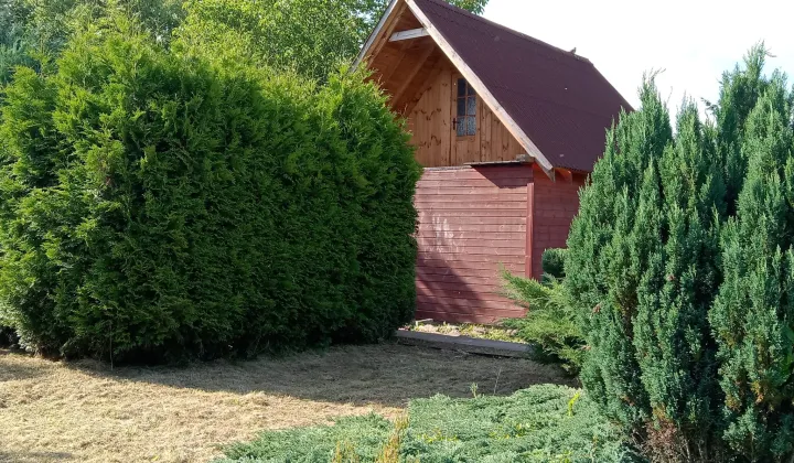Działka rod Gdańsk Stogi, ul. Wosia Budzysza