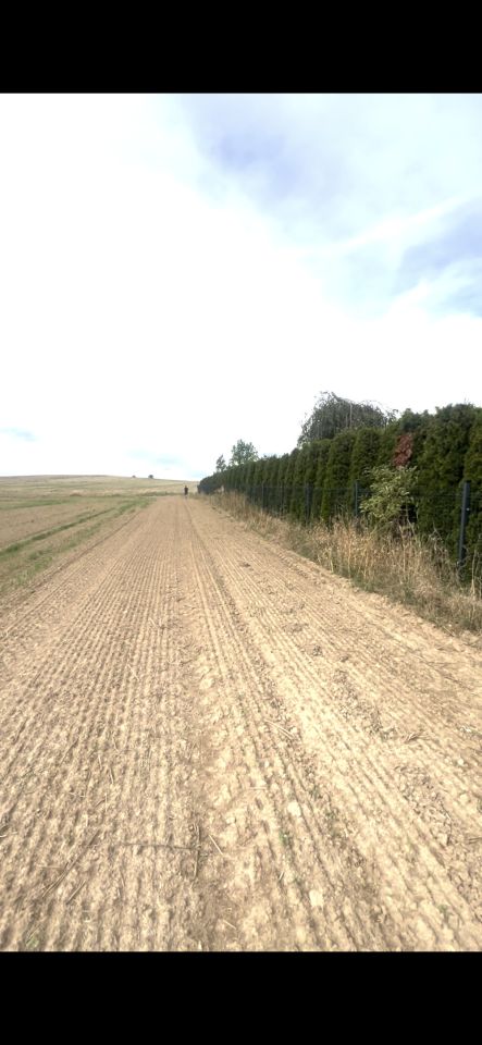 Działka budowlana Dobrocin, ul. Kościuszki. Zdjęcie 2